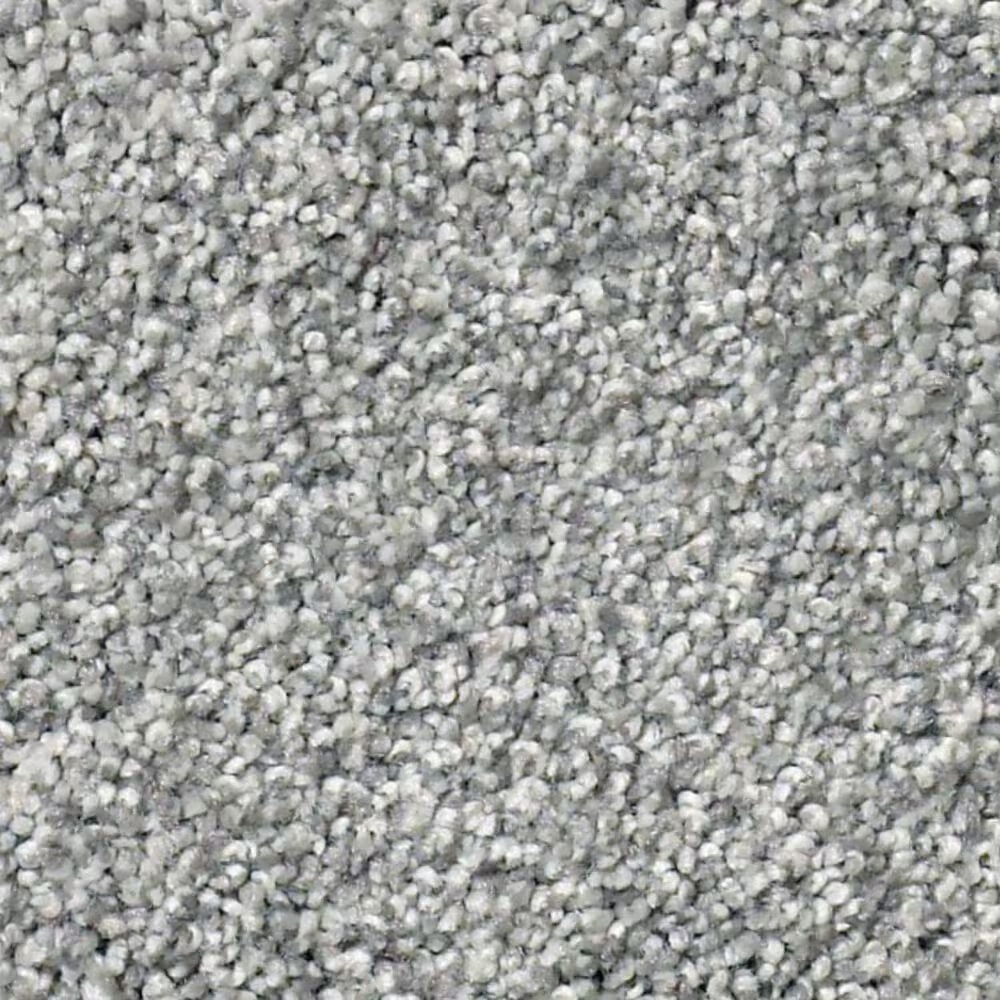 Shaw Find Your Comfort TT II Carpet in Misty Rain