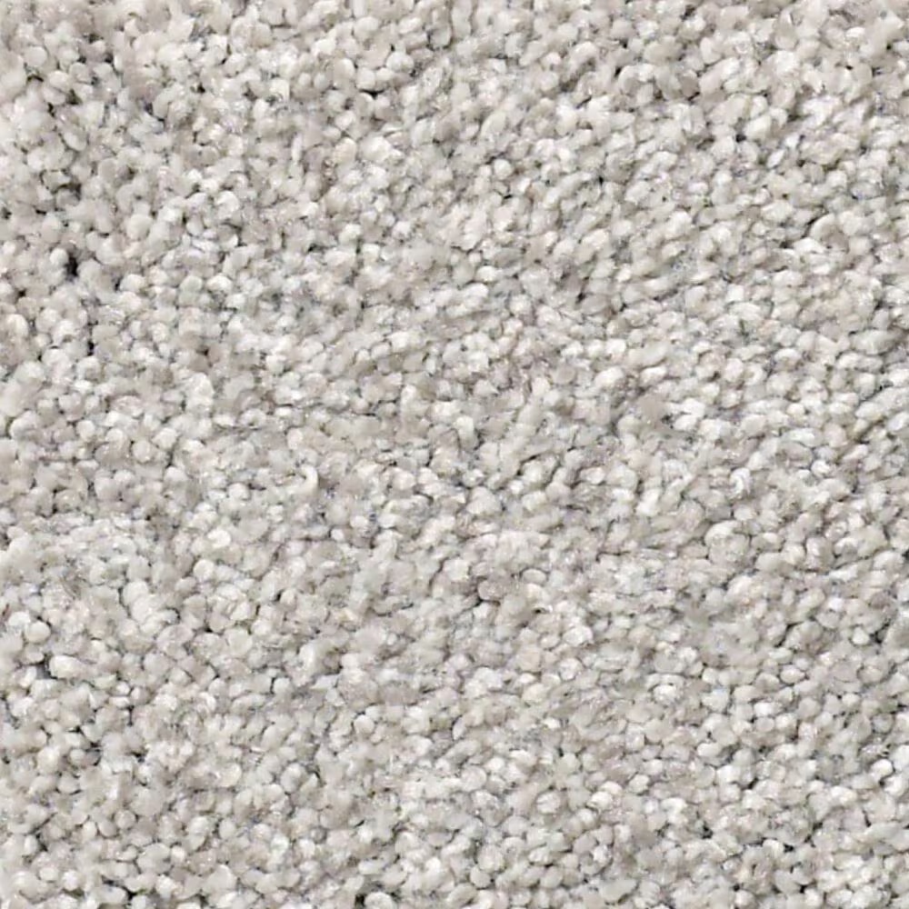 Shaw Find Your Comfort TT II Carpet in Dreamy