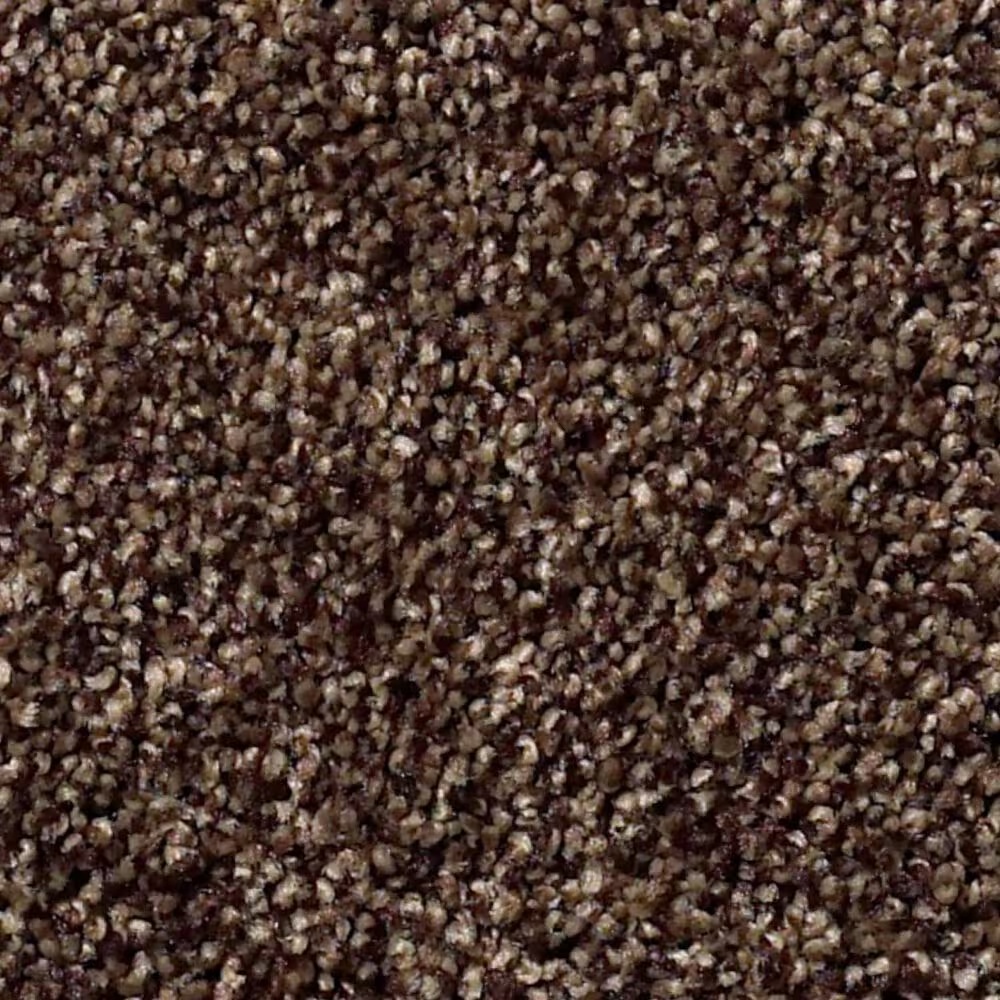 Shaw Find Your Comfort TT II Carpet in Chocolate Treat