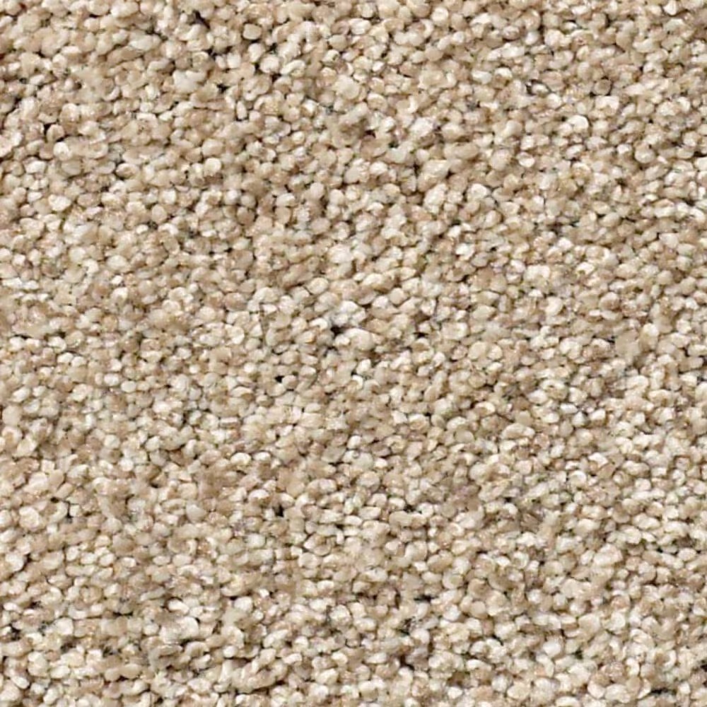 Shaw Find Your Comfort TT II Carpet in Walk on The Beach