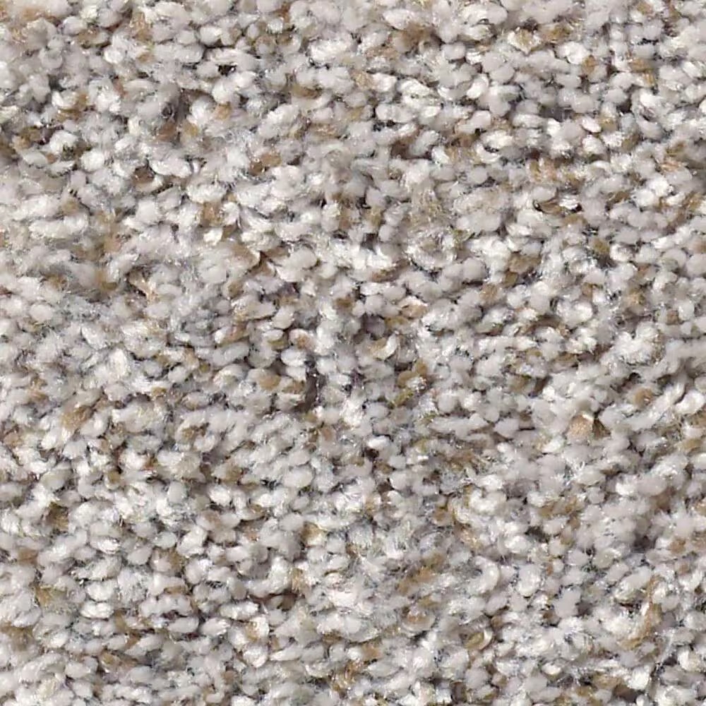 Shaw Cabana Bay Carpet in Granite