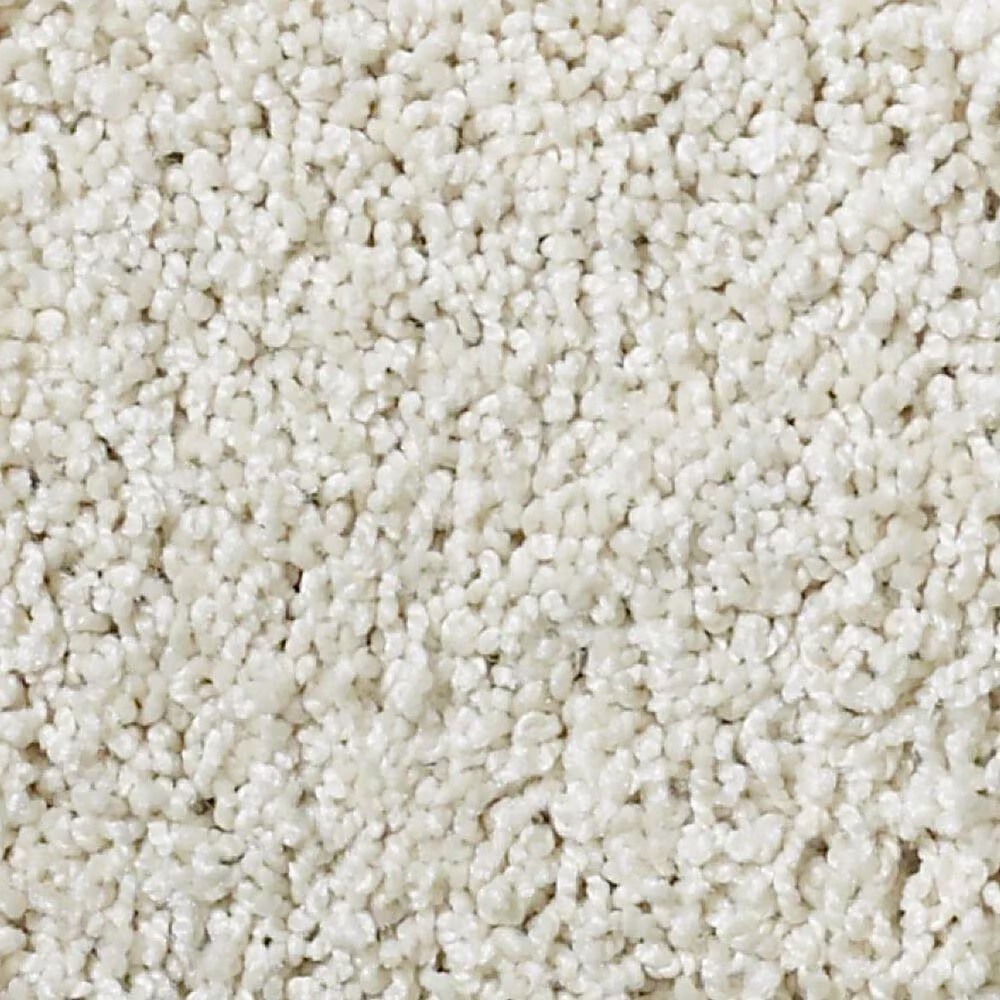 Shaw Foundations Take The Floor Twist II Carpet in Modest