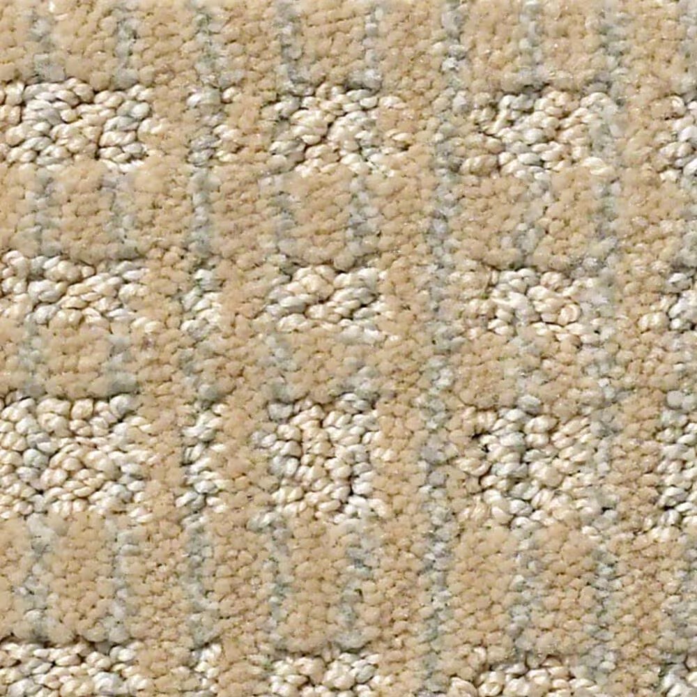 Anderson Tuftex Purrsuasion Carpet in Sunrise