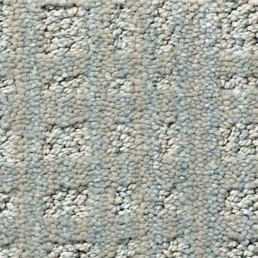 Anderson Tuftex Purrsuasion Carpet in Tide Pool