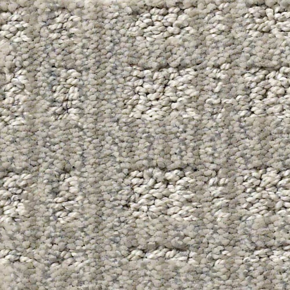 Anderson Tuftex Purrsuasion Carpet in Cement
