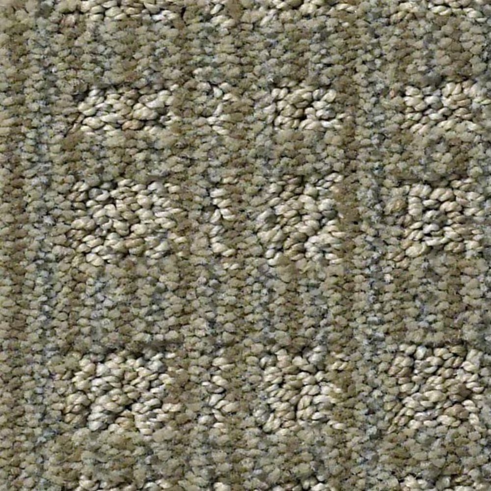 Anderson Tuftex Purrsuasion Carpet in Urban Jungle