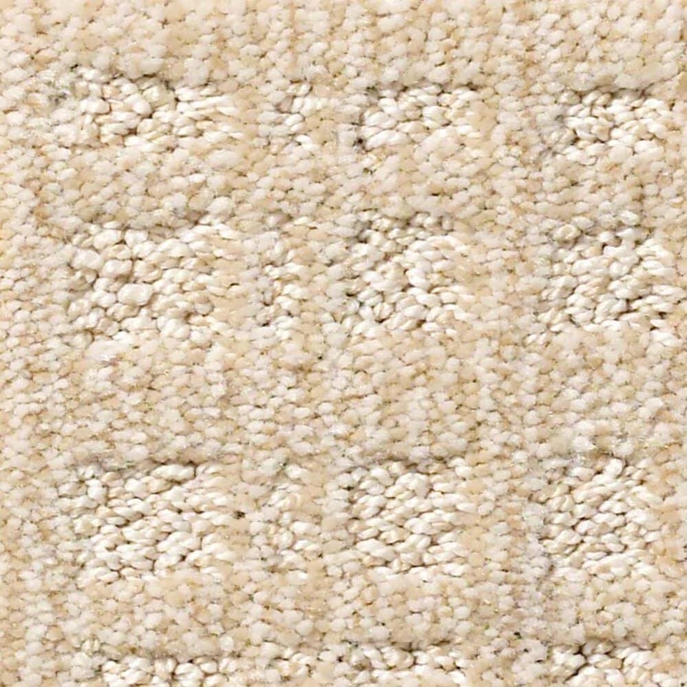 Anderson Tuftex Purrsuasion Carpet in Blonde