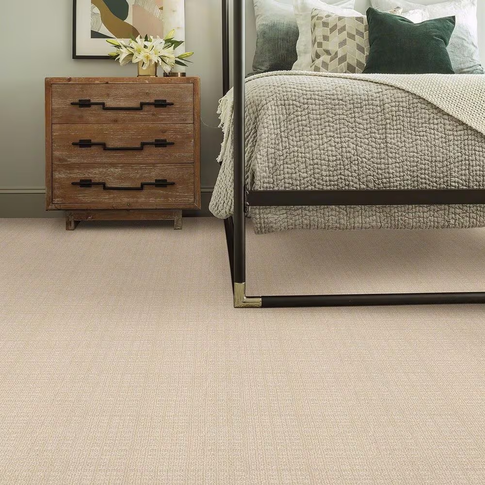 38963-anderson-tuftex-purrsuasion-carpet-in-blonde-1.jpg