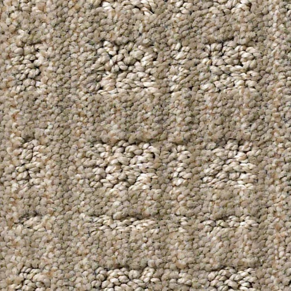 Anderson Tuftex Purrsuasion Carpet in Favorite Tan