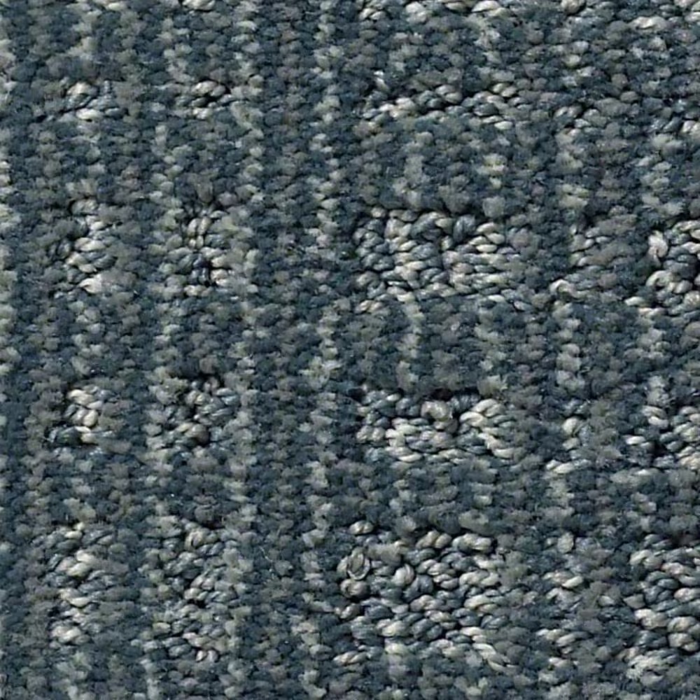 Anderson Tuftex Purrsuasion Carpet in Waterloo