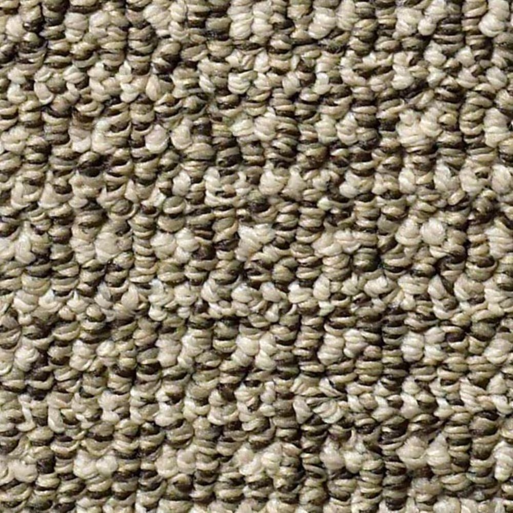 Anderson Tuftex Fetch Carpet in Desert Palm