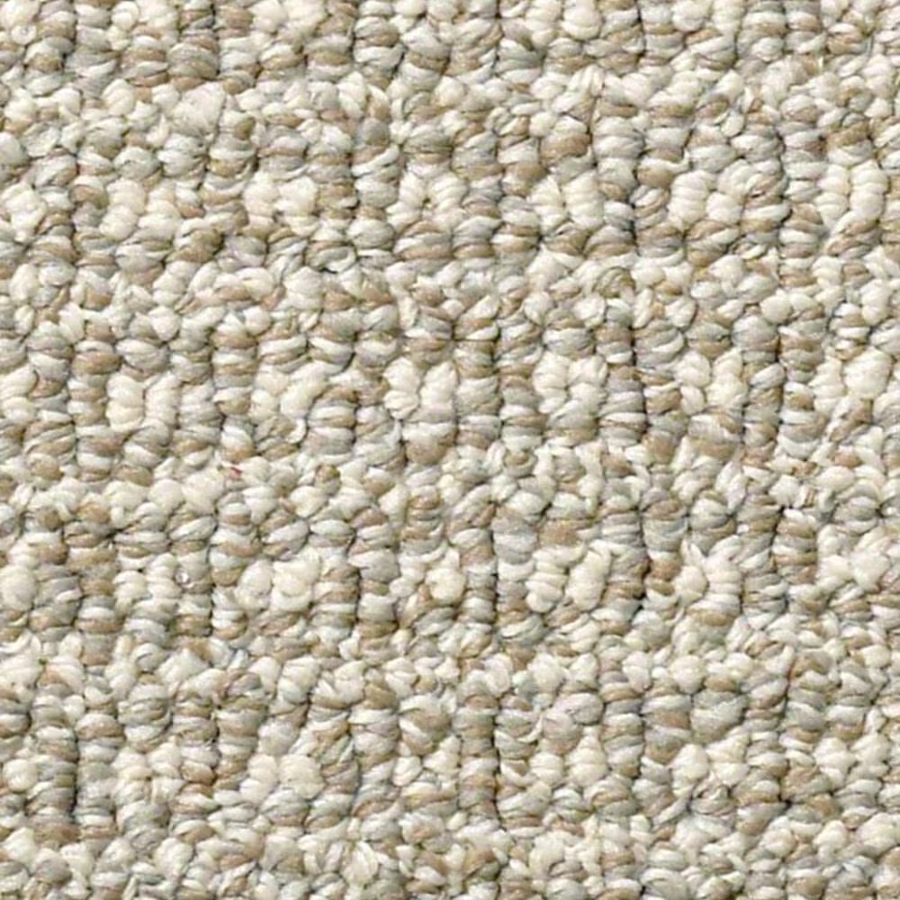 Anderson Tuftex Fetch Carpet in Briarwood