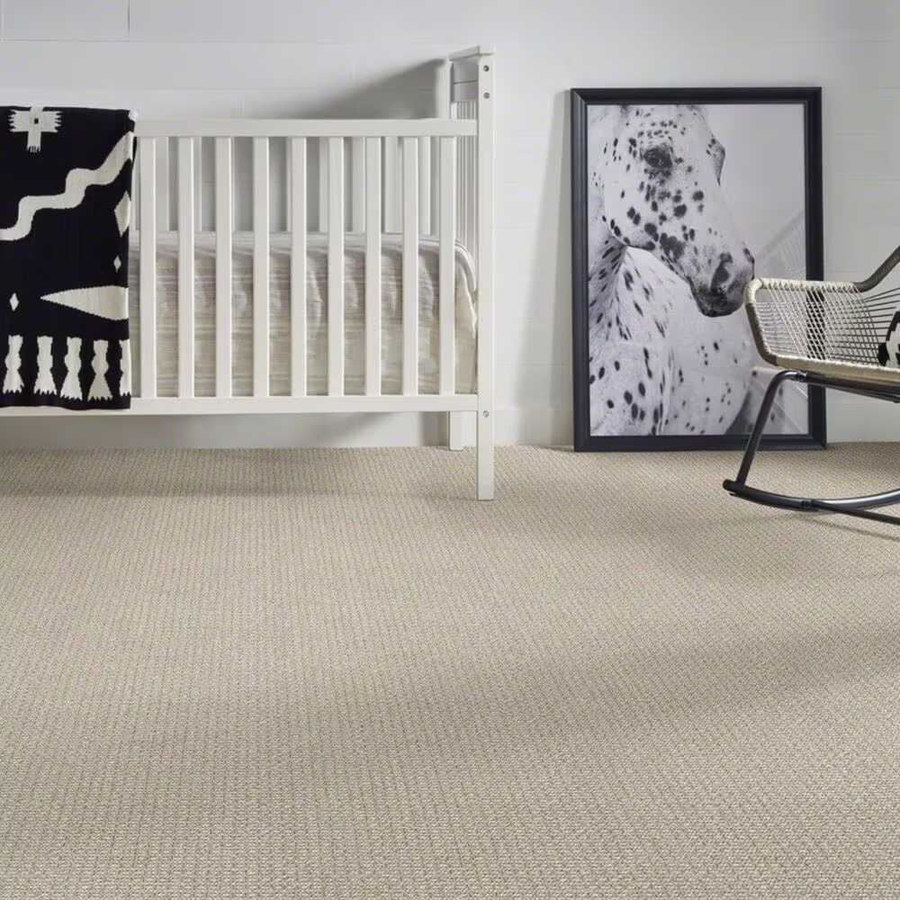 39041-anderson-tuftex-fetch-carpet-in-briarwood-1.jpg