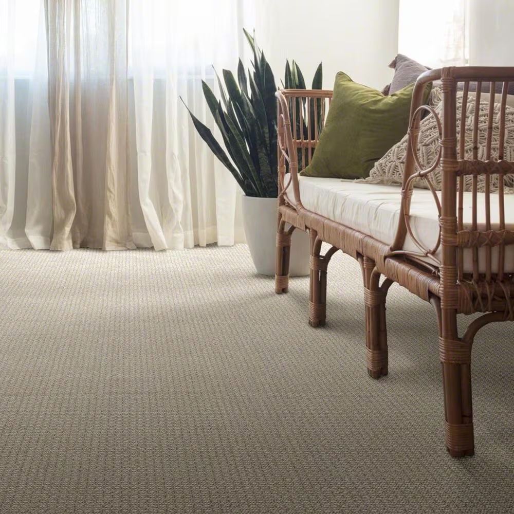39041-anderson-tuftex-fetch-carpet-in-briarwood-1.jpg