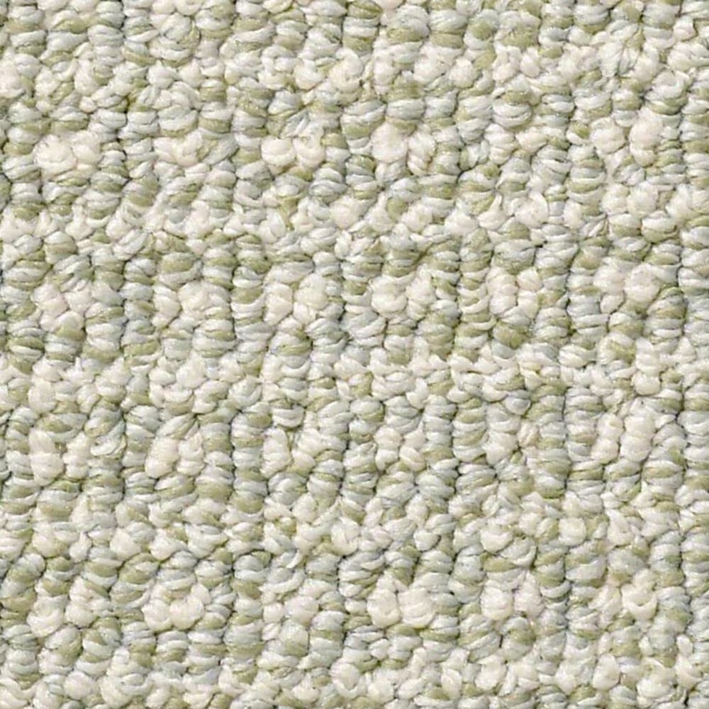 Anderson Tuftex Fetch Carpet in Soft Fern