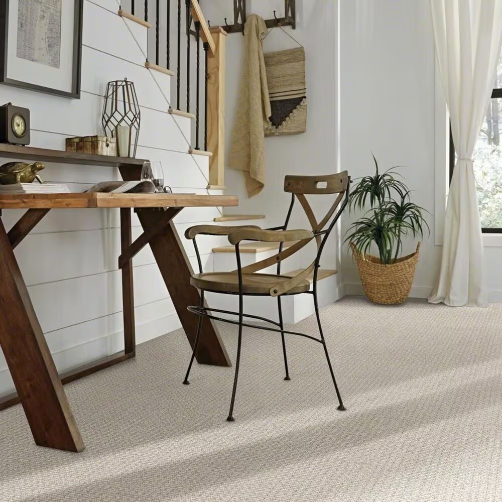39054-anderson-tuftex-fetch-carpet-in-soft-fern-1.jpg