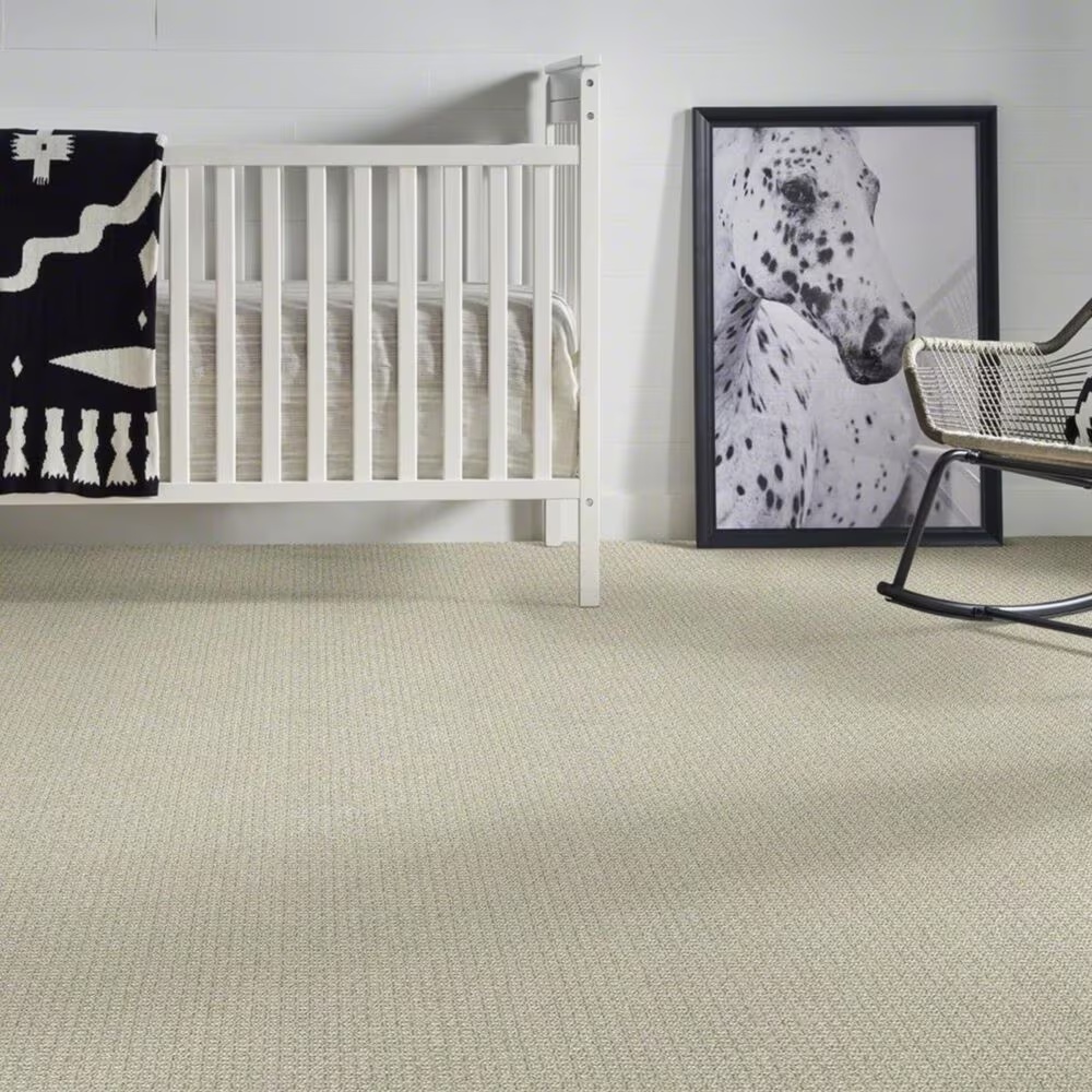 39054-anderson-tuftex-fetch-carpet-in-soft-fern-1.jpg