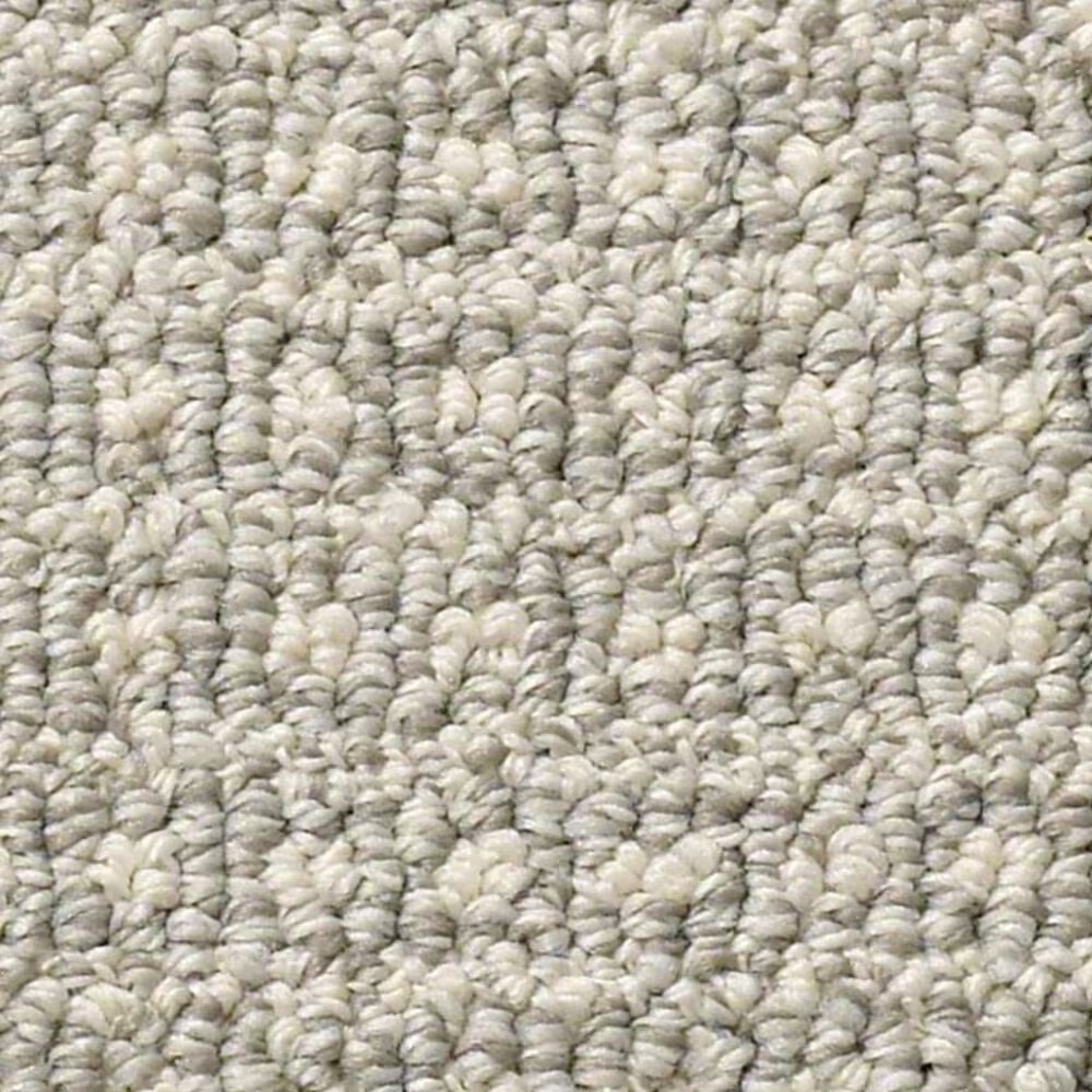 Anderson Tuftex Fetch Carpet in Oyster Shell
