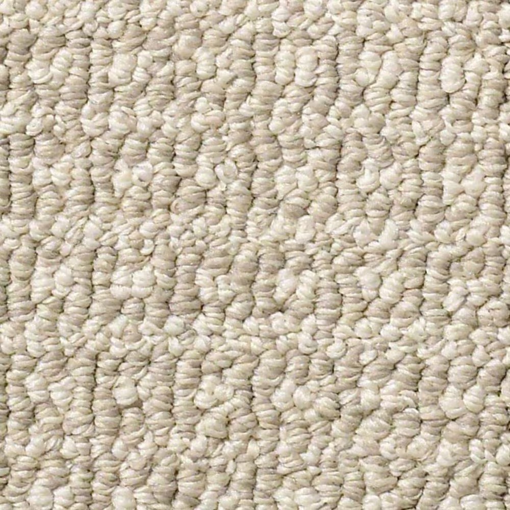 Anderson Tuftex Fetch Carpet in Birch