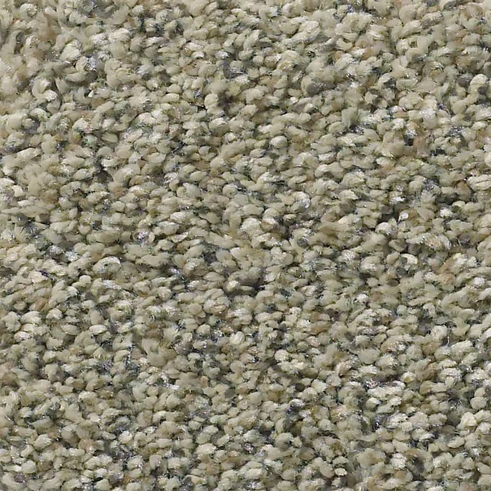 Shaw Simply the Best All Set II Carpet in Tree House
