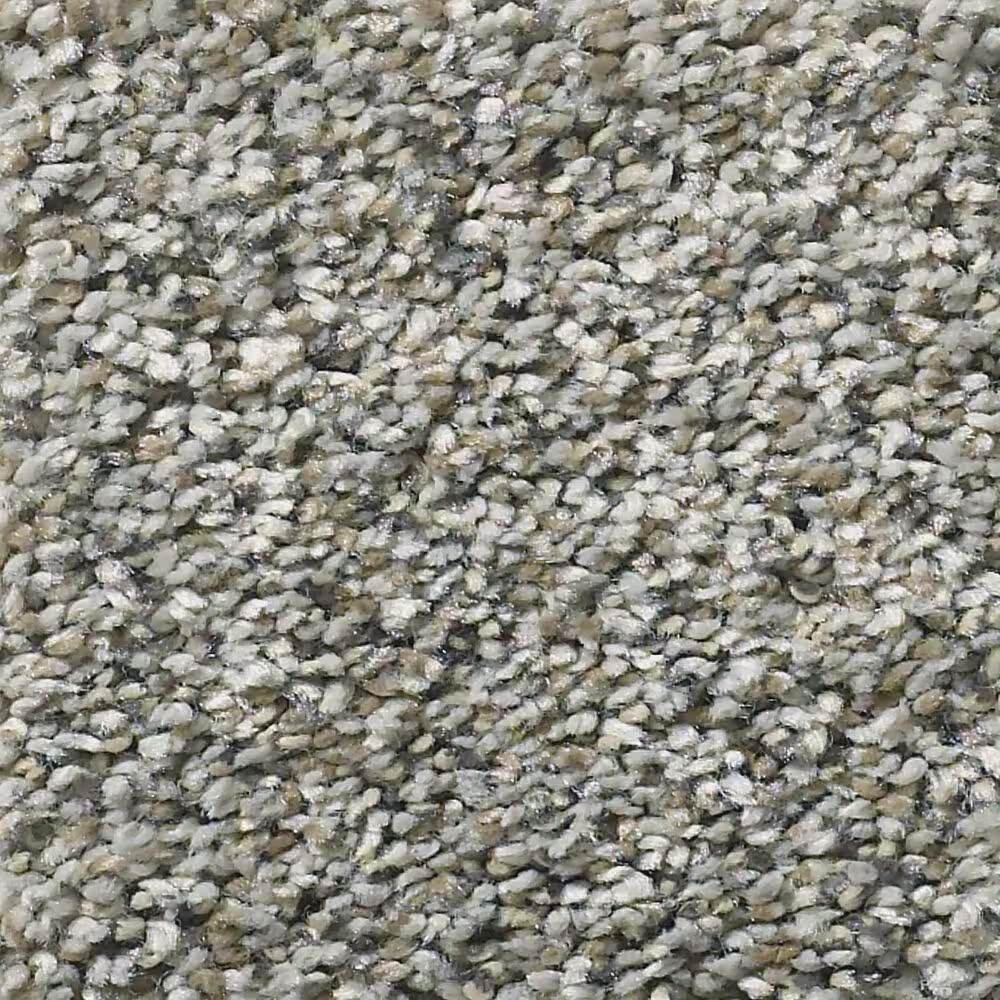 Shaw Simply the Best All Set II Carpet in Rhino