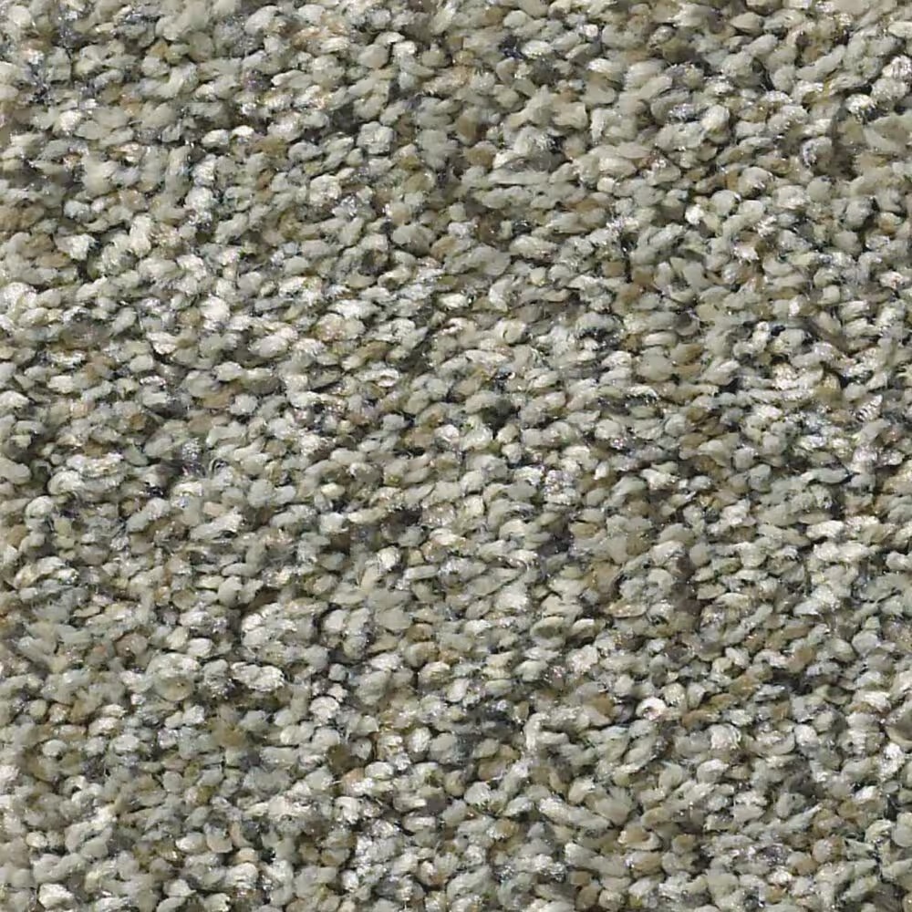 Shaw Simply the Best All Set I Carpet in Beach Walk
