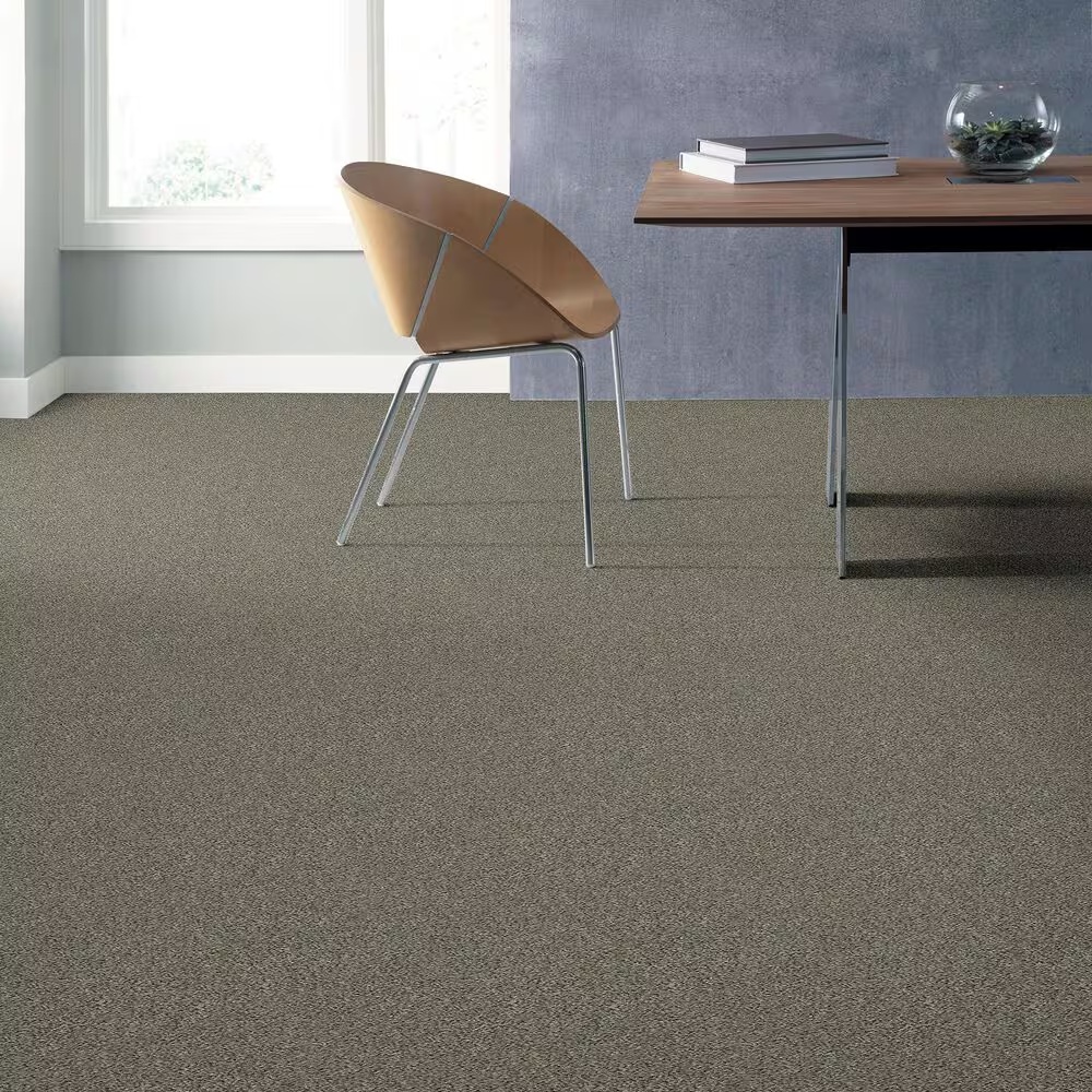 39175-shaw-simply-the-best-all-set-i-carpet-in-beach-walk-1.jpg