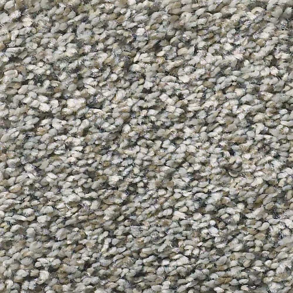 Shaw Simply the Best All Set I Carpet in Rhino