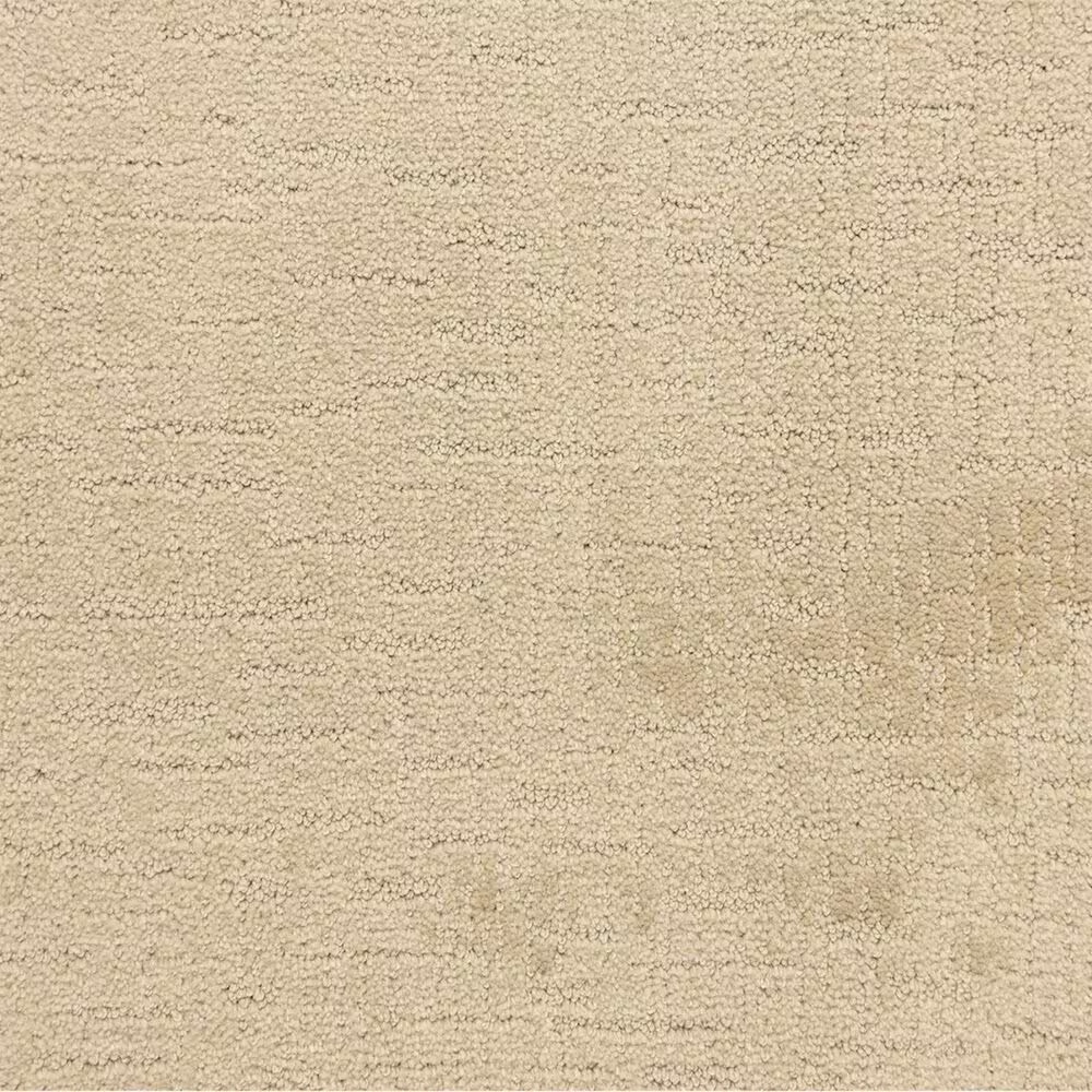 Dixie Home Courage Carpet in Premier