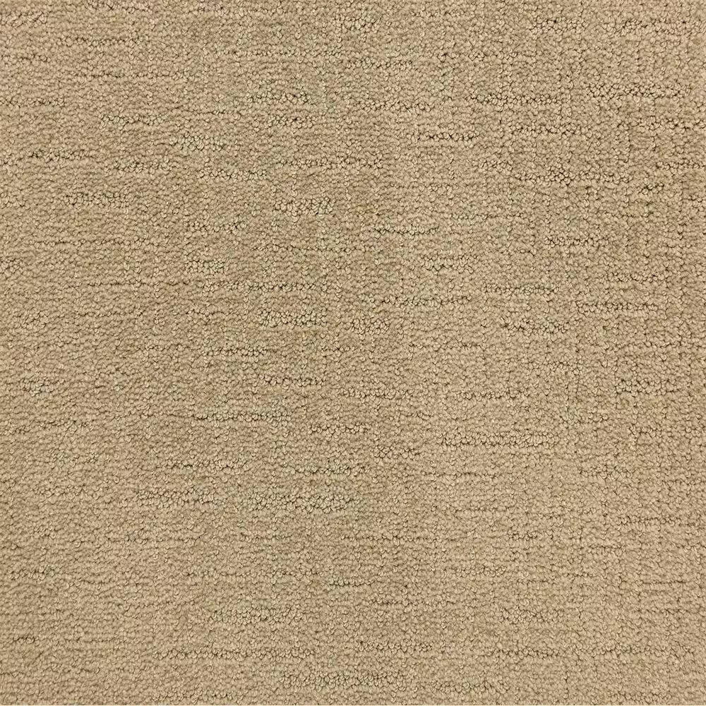 Dixie Home Courage Carpet in Champion