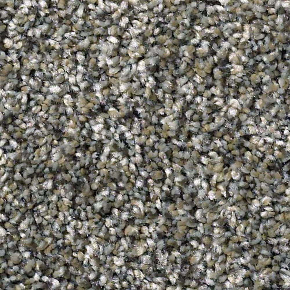 Shaw Simply the Best All Over It I Carpet in Granite Dust