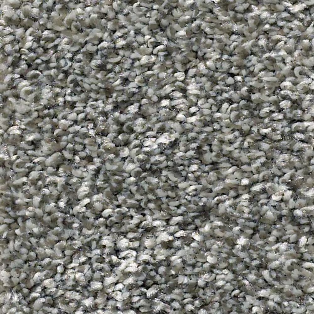 Shaw Simply the Best All Over It I Carpet in Sparrow