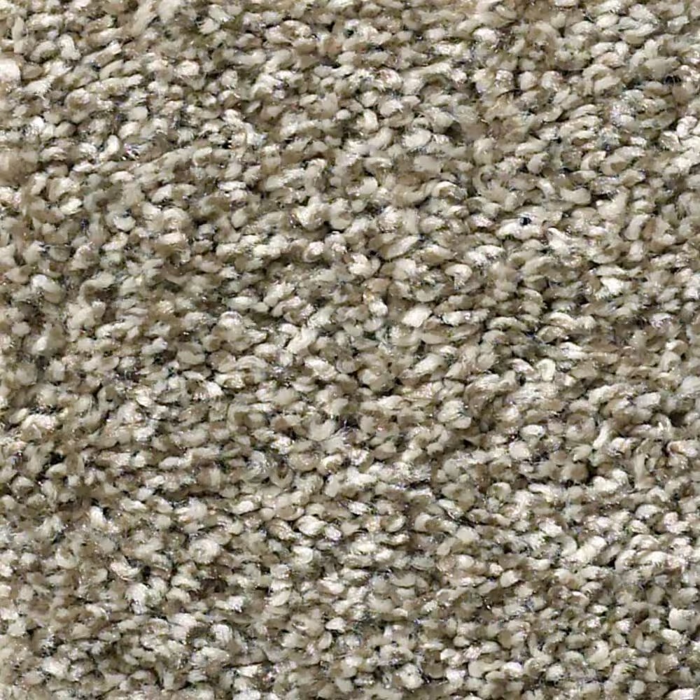 Shaw Simply the Best All Over It I Carpet in Clay