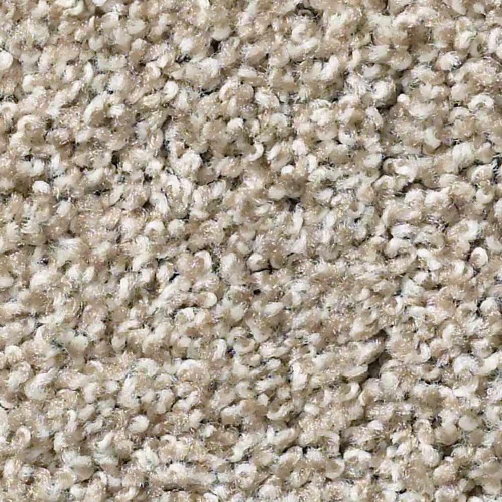 Shaw Balanced Carpet in Quiet Tan