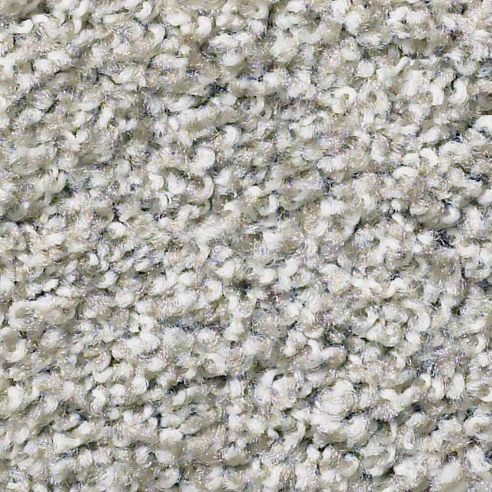 Shaw Balanced Carpet in Great Greige