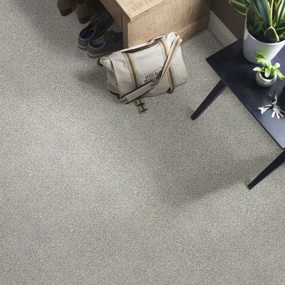 39248-shaw-balanced-carpet-in-great-greige-1.jpg