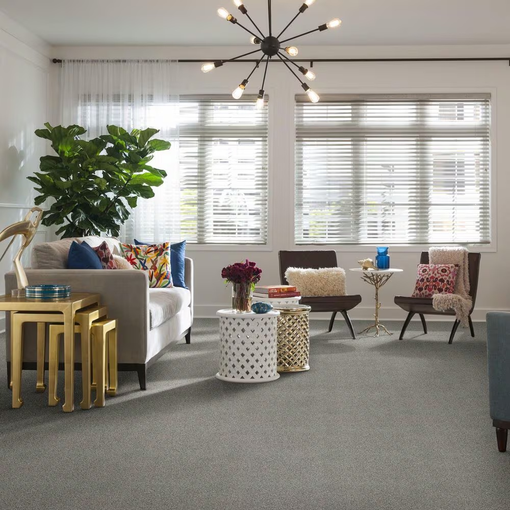 39248-shaw-balanced-carpet-in-great-greige-1.jpg