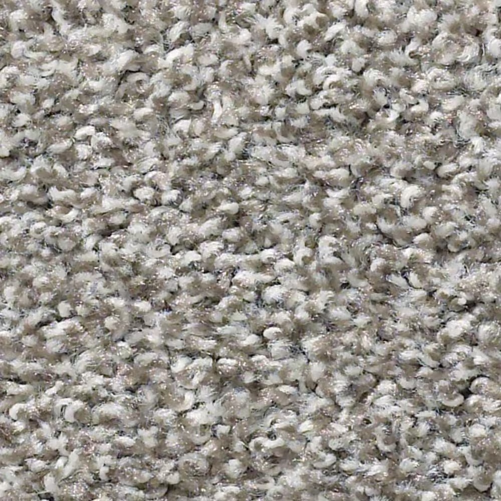 Shaw Balanced Carpet in Flannel Gray