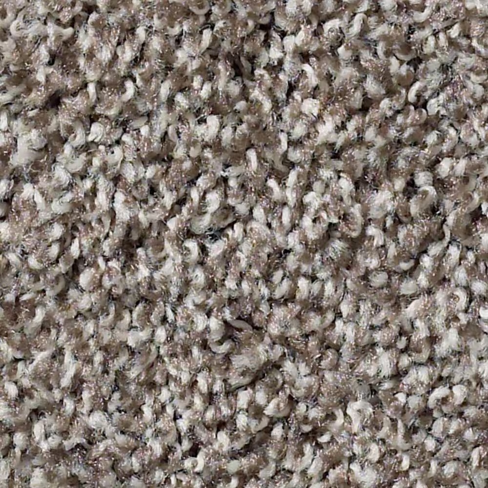 Shaw Balanced Carpet in Chic Taupe