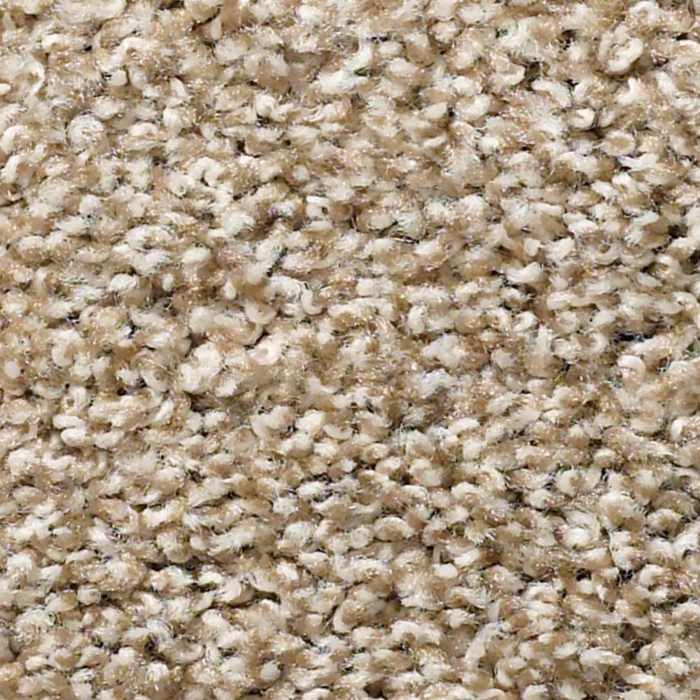 Shaw Balanced Carpet in Artisan
