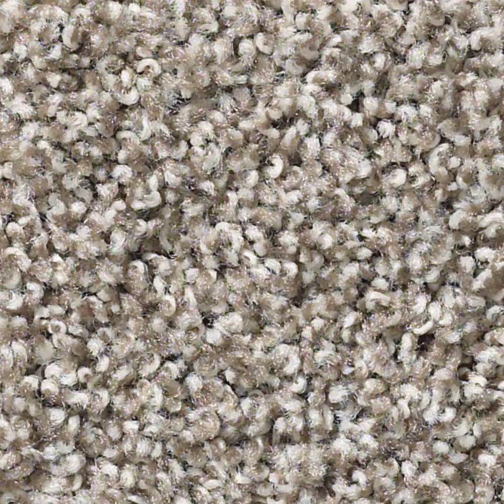 Shaw Balanced Carpet in Studio Loft