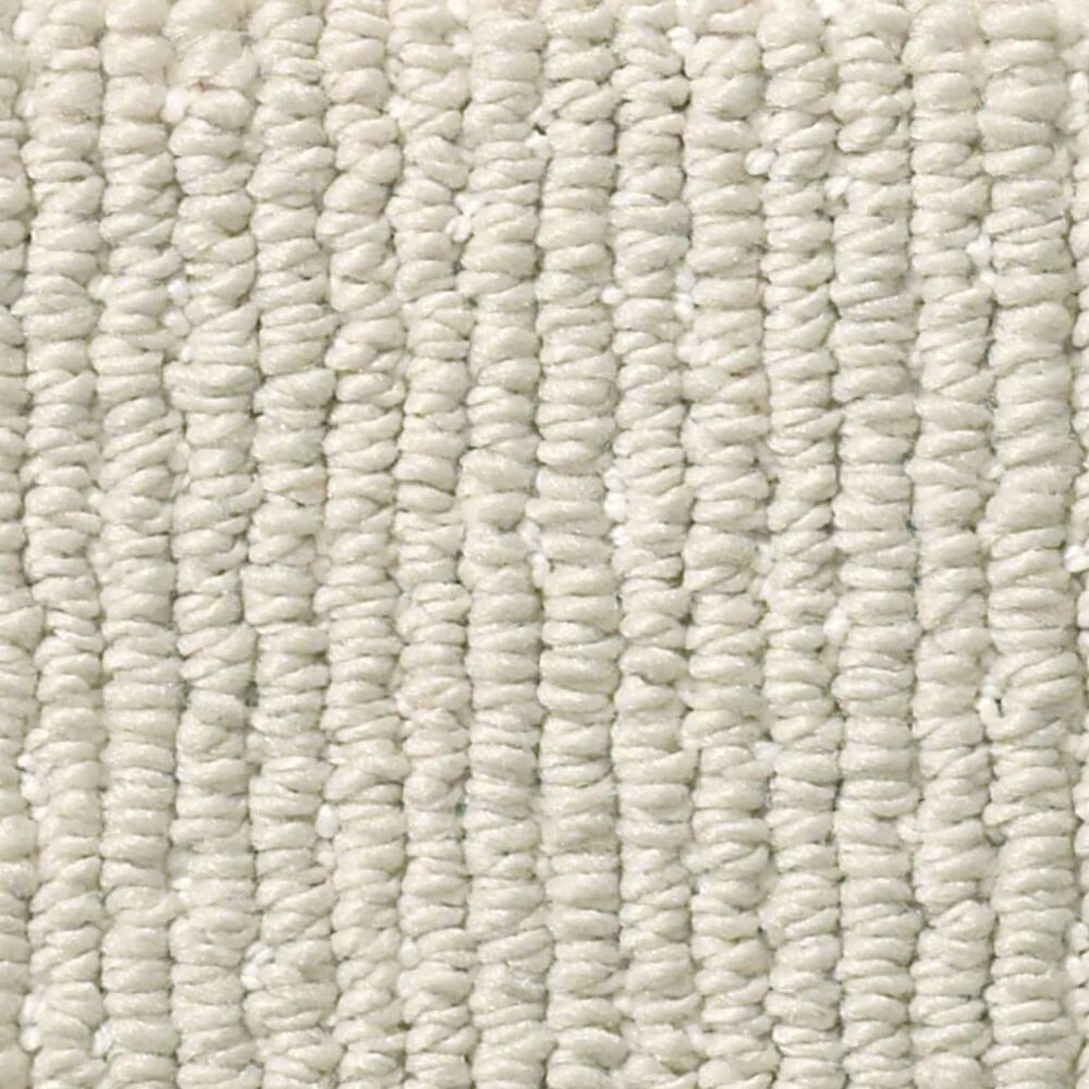 Anderson Tuftex Tranquil Waters Carpet in Soft Spoken