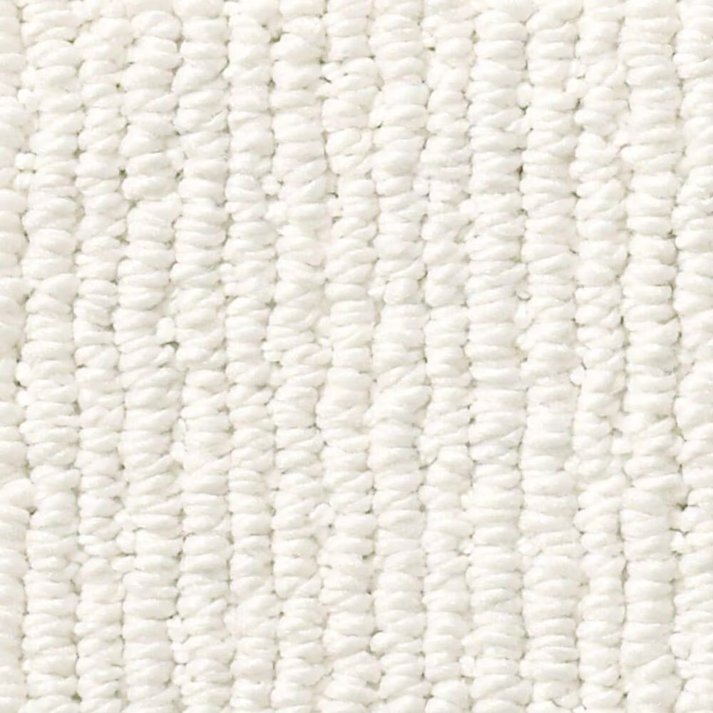 Anderson Tuftex Tranquil Waters Carpet in Calm