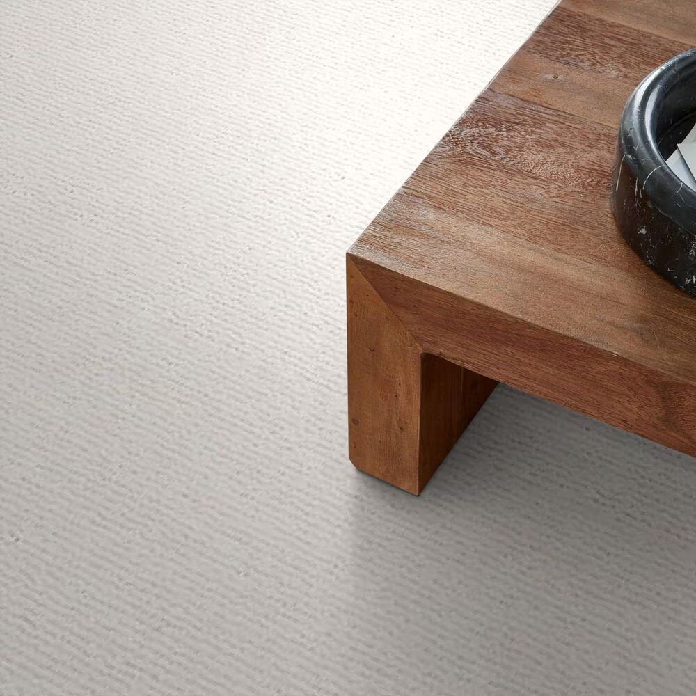 39360-anderson-tuftex-tranquil-waters-carpet-in-calm-1.jpg