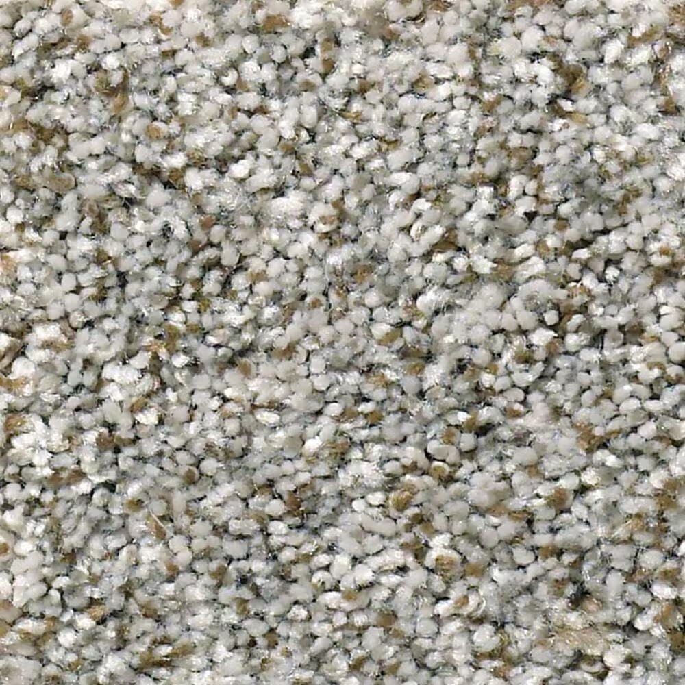 Shaw Simply the Best Cabana Life Carpet in Stone