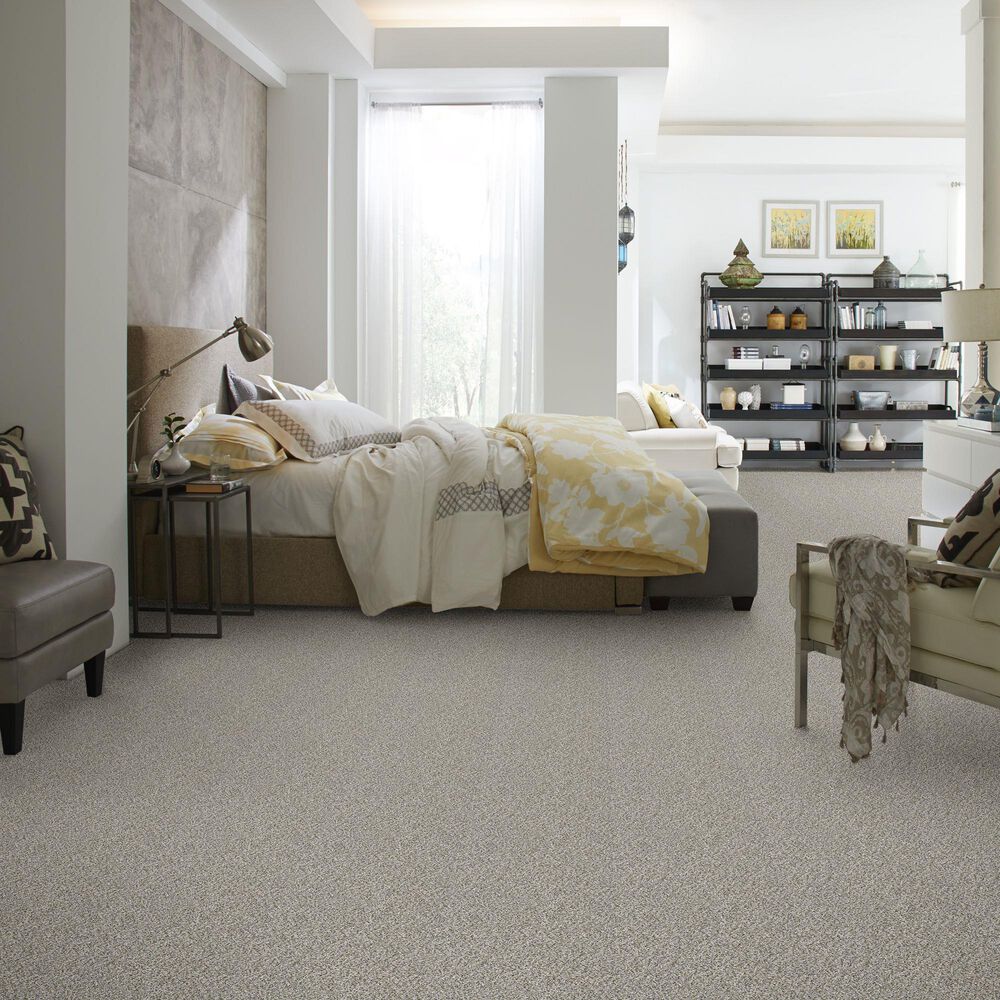 39362-shaw-simply-the-best-cabana-life-carpet-in-stone-1.jpg