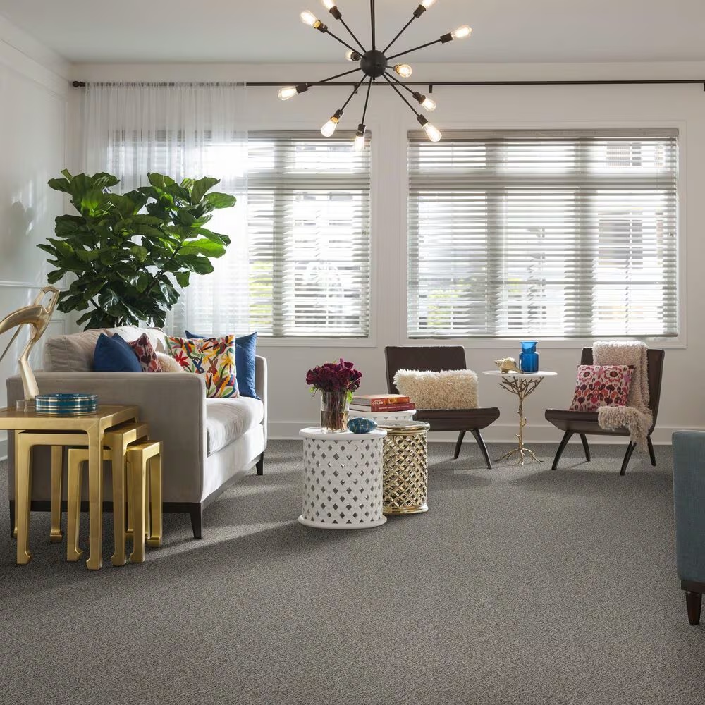 39362-shaw-simply-the-best-cabana-life-carpet-in-stone-1.jpg
