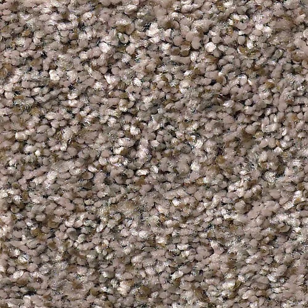 Shaw Simply the Best Cabana Life Carpet in Brown Reed