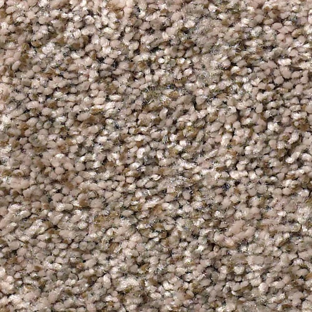 Shaw Simply the Best Cabana Life Carpet in Mesa