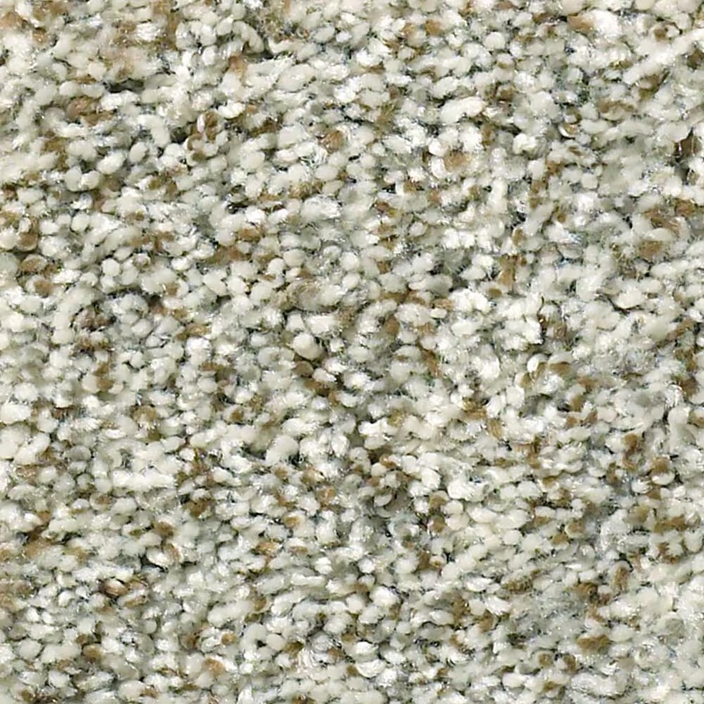 Shaw Simply the Best Cabana Life Carpet in Seashell